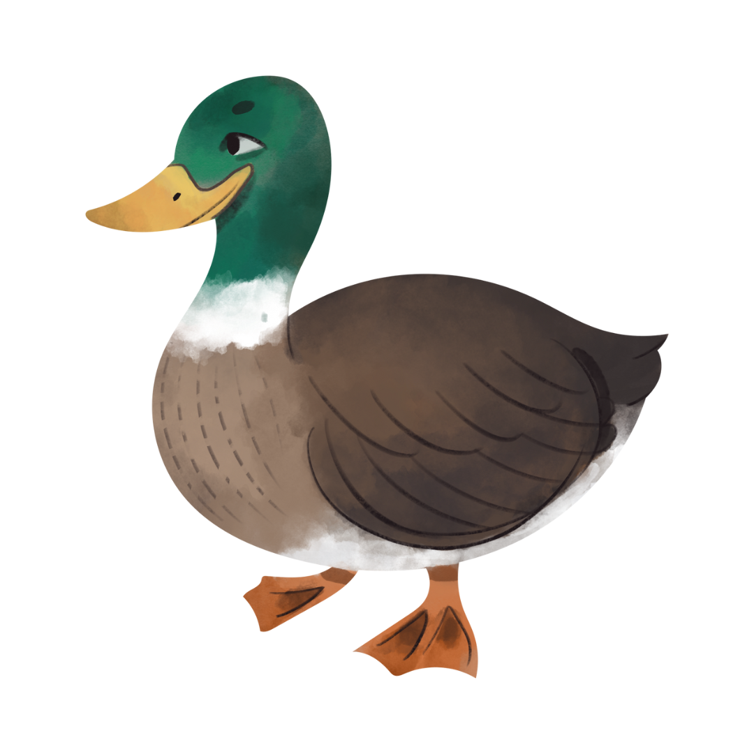 Ente