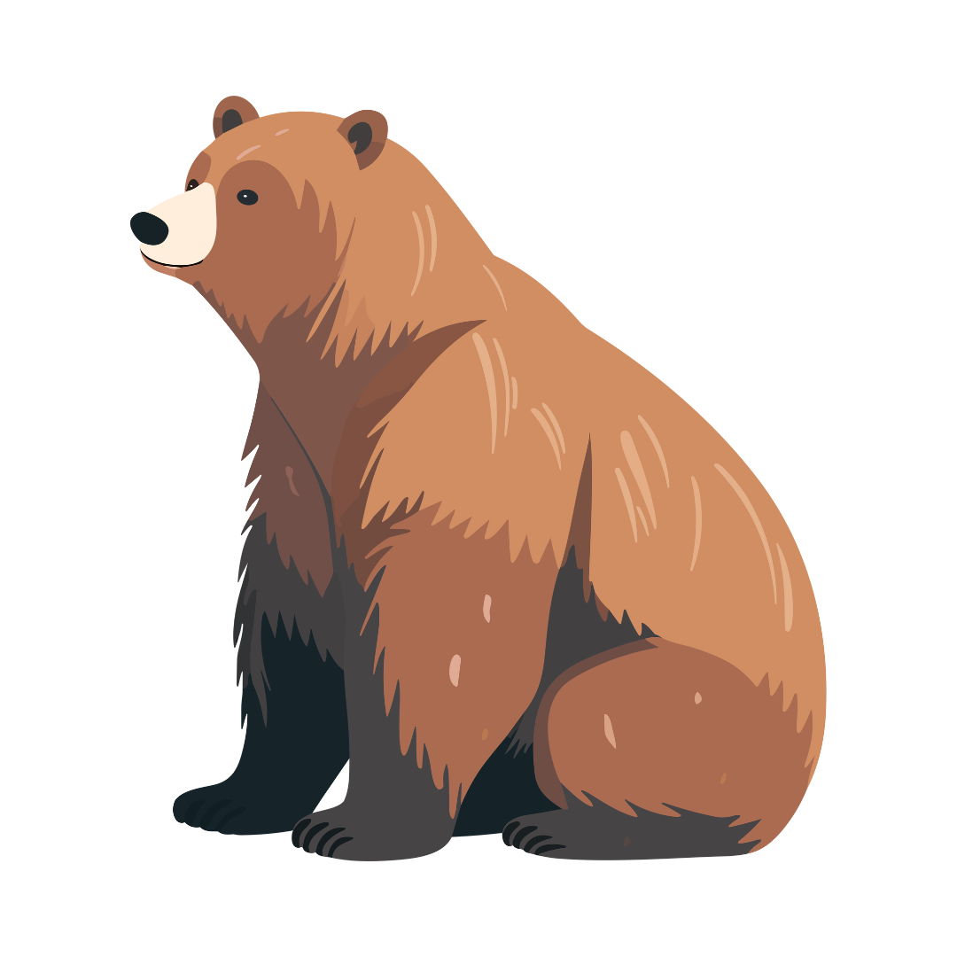 Bär