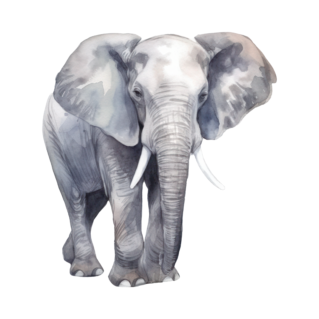 Elefant