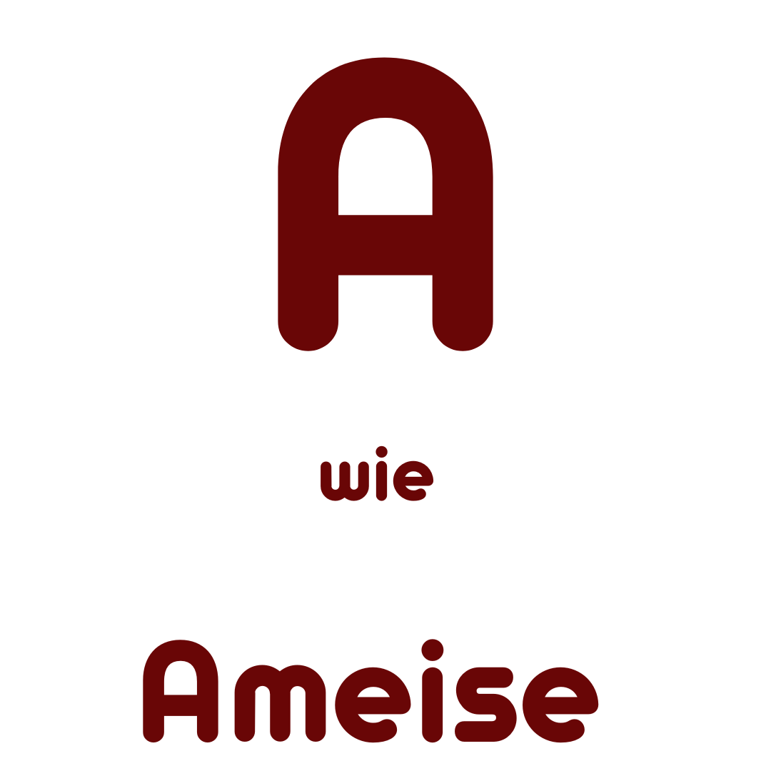 A wie Ameise