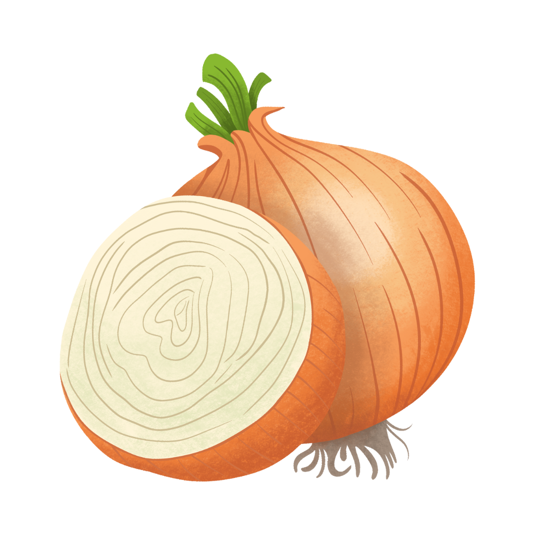 Zwiebel