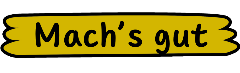 Mach’s gut