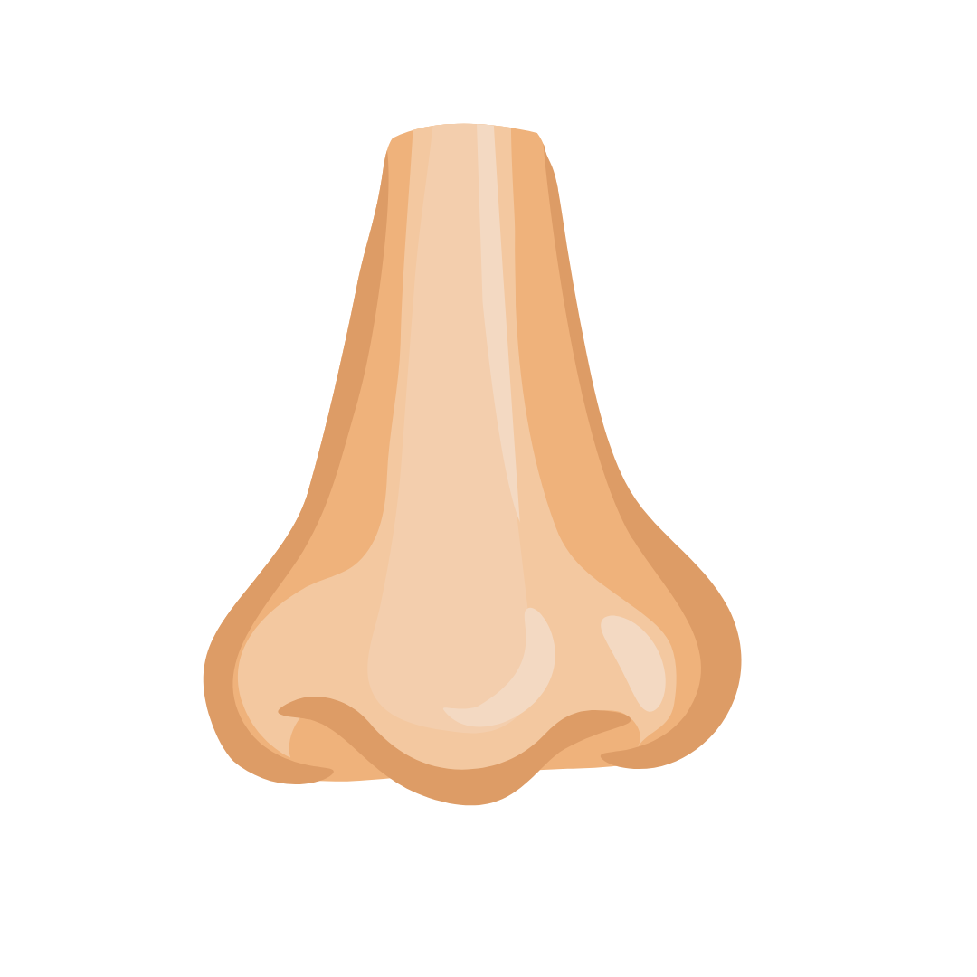 Nase