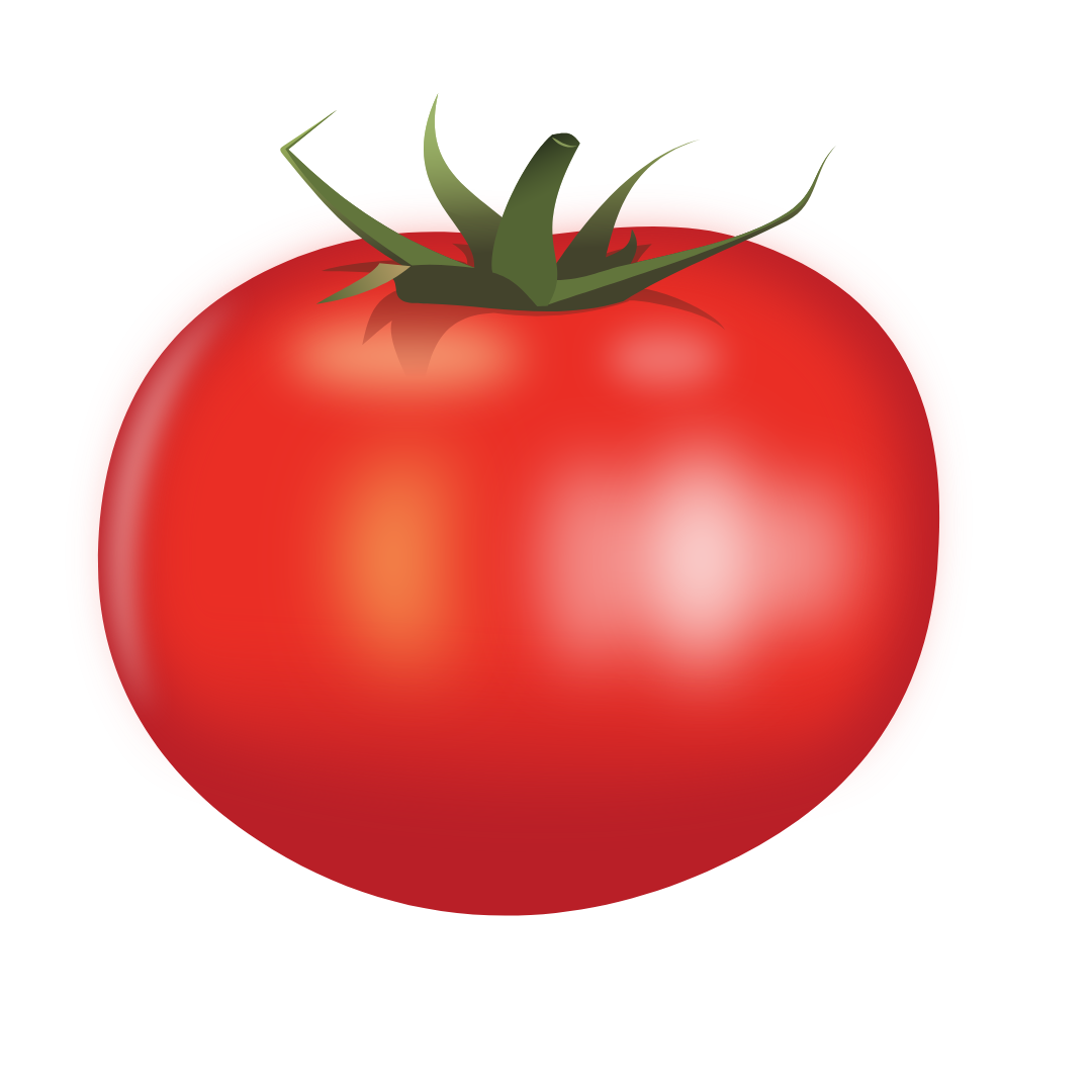 Tomate
