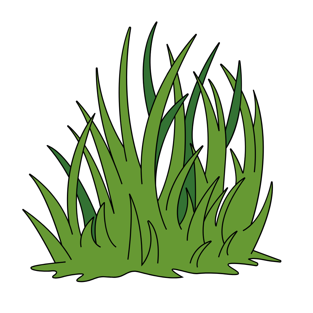 Gras