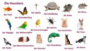 Tiere auf Deutsch – Haustiere, Wildtiere | Germannika